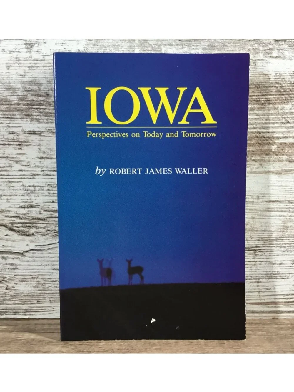 Iowa Perspectives On Today And Tomorrow By Robert James Waller Paperback 1991